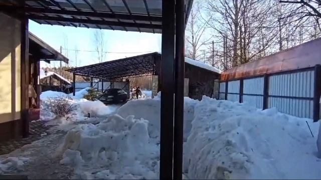 Односкатный навес из поликарбоната