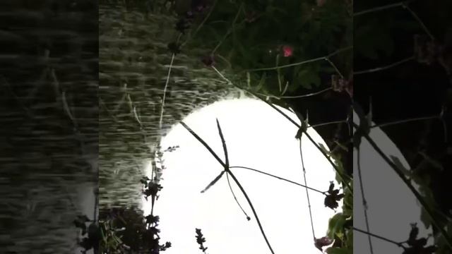 Ландшафтные светильники шары Jellymoon с белым свечением? смотреть онлайн