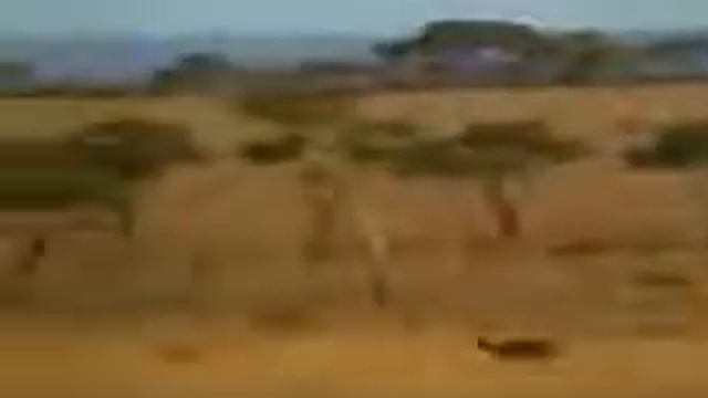 Человек быстрее всех смотреть онлайн