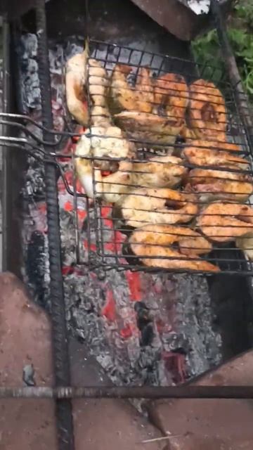 форель радужная#шашлык#дома смотреть онлайн