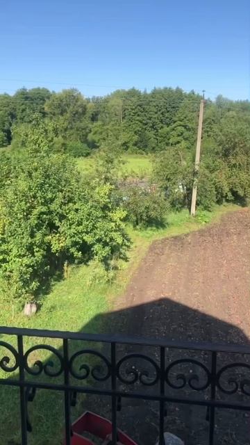 Как быстро посадить и собрать картошку. Лайфхак смотреть онлайн