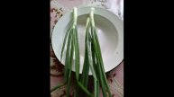 Первый урожай Зеленного Лука
