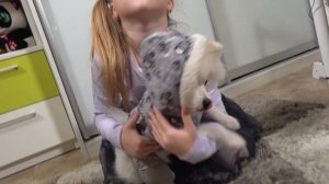 Лера Открыла Новый Бизнес ! **Марк в Шоке**