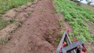 Гусеничный минитрактор пашет огород на зиму.