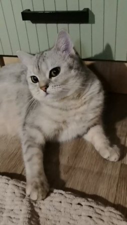 пришла ко мне в гости подруга 💃