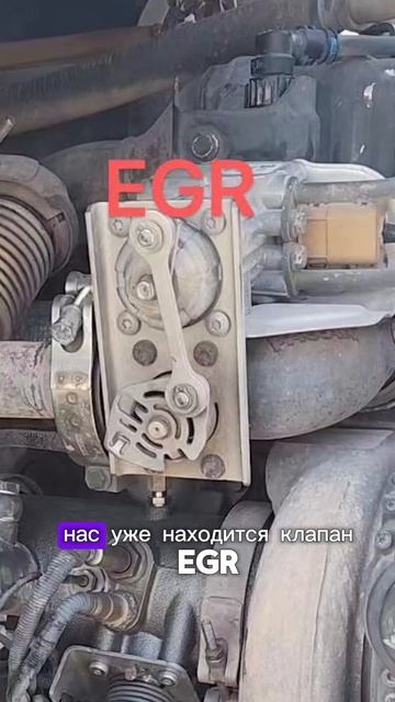 Daf xf 106 ремонт клапана EGR и горного тормоза