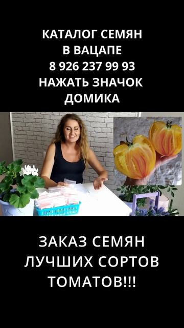 СЕМЕНА ТОМАТОВ! СОРТ СЕРДЦЕ АШХАБАДА!