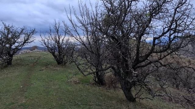 САМОЕ КРАСИВОЕ МЕСТО КРЫМА. ТУРИСТЫ БУДУТ В ВОСТОРГЕ. ?