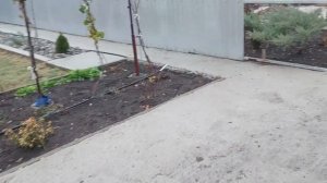 669.Строим сарай для кроликов