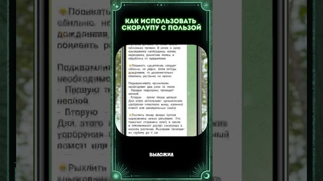 Как использовать скорлупу яиц эффективно, с пользой д?
