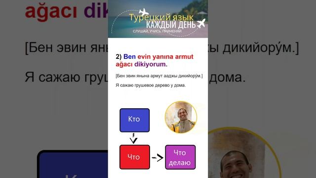 Турецкий без зубрежки: 44 фразы с овощами, фруктами и по
