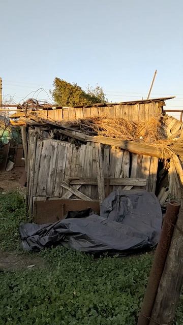 Обзор на сарай для утей и гусей смотреть онлайн