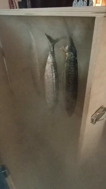 Коптильня холодного копчения (коптили 2 часа на вишнёв смотреть онлайн