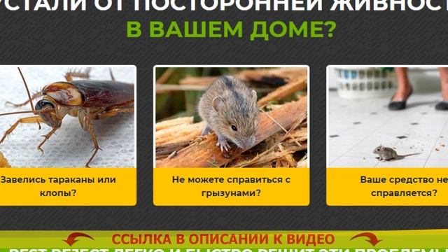 ❕ ОТ МЫШЕЙ УЛЬТРАЗВУК ДЛЯ ДОМА ИНСТРУКЦИЯ ПО ПРИМЕНЕН