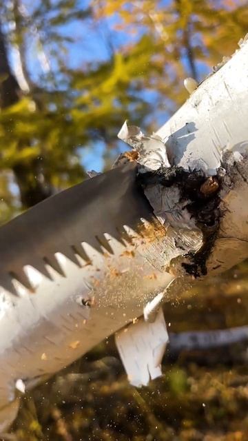 ASMR Hand saw / Пила ручная смотреть онлайн