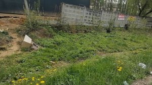 7.05.2025.Усадьба Парк Кино Ляхово. Парк Кошек.Домодедово.Обзор проведённых работ.Трасса Каширского