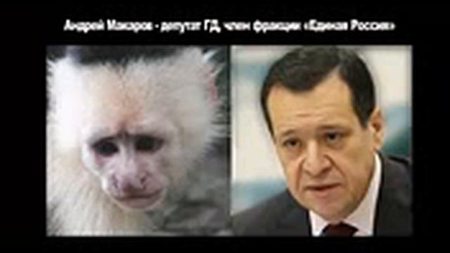 Юмор Забавные сходства Политики России Прикольные фото Смешное видео смотреть онлайн