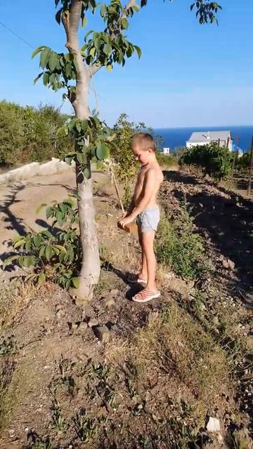 Изготовление качелей 😬