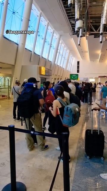 Мексика. Идеальная посадка в самолёт #безтолкотни #иде смотреть онлайн