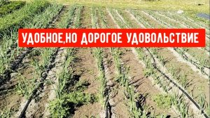 #17🌷7 мая Обследовались/Удобное,но дорогое удовольствие