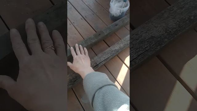 Клетка для королей женскими руками. смотреть онлайн