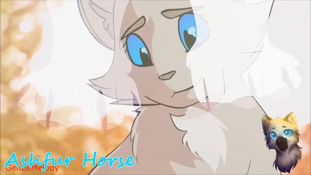Коты-Воители - Горячий Шоколад