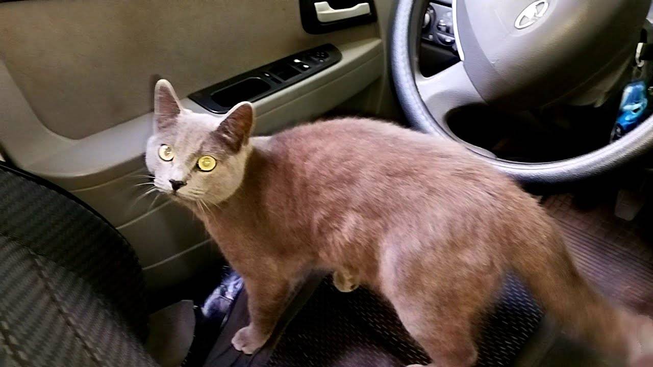 Славянск. 6 мая 2025г. Вечер.