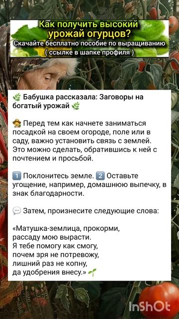 бабушкин заговор на хороший урожай. смотреть онлайн