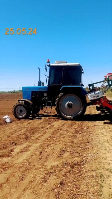 #мтз #agricola посев поздней моркови #farming #carrot #cordoba #морков? смотреть онлайн