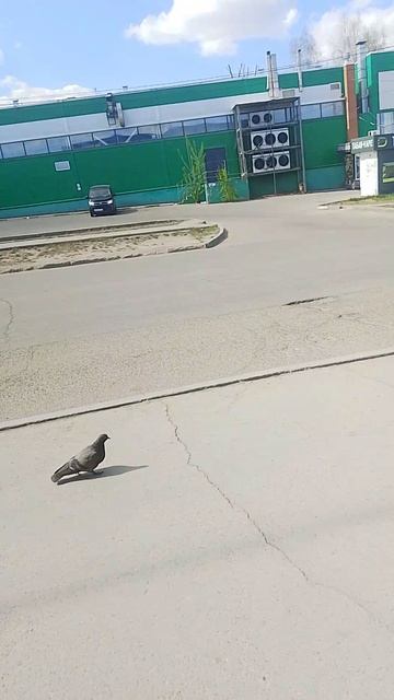 1000005500.mp4