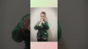 Михаил Владимиров. Во саду ли в огороде. Блокфлейта