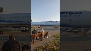 В аэропорту Толмачёво. Новосибирск. #путешествия #само
