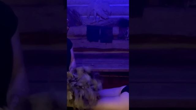 ПАРИМ ДЕВОЧЕК #баня #чан #пармастер #буднибанщика #рина смотреть онлайн