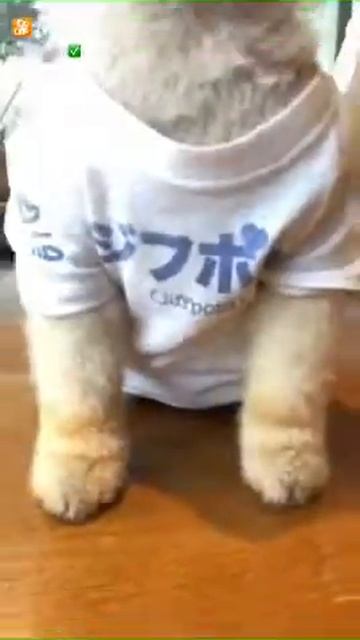 Сидим в Китае