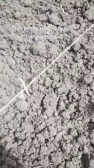 Парник для рассады своими руками. смотреть онлайн