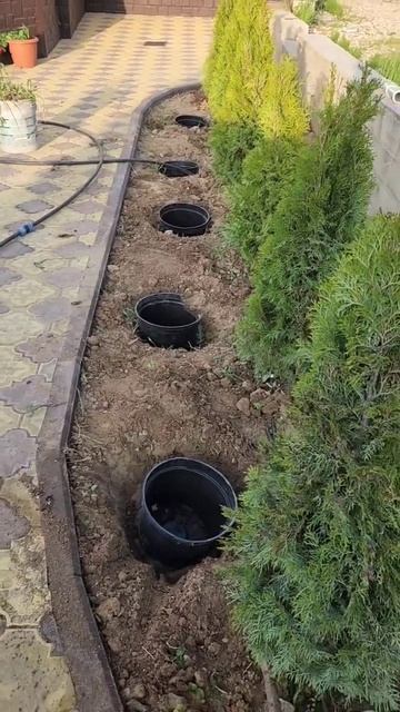 Оформляем клумбы #мойсад #мойдом #петунии #петуния #сад смотреть онлайн