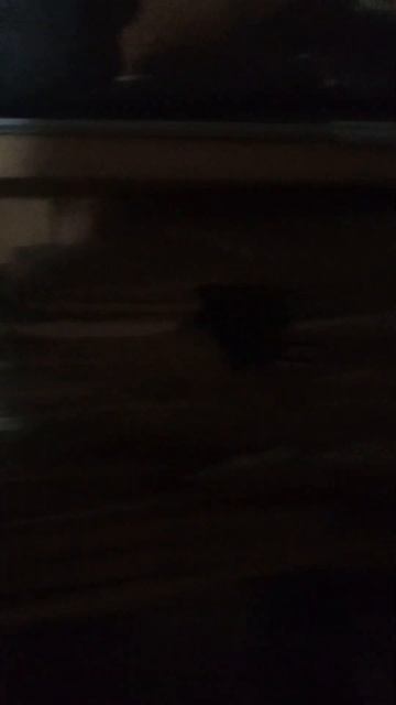 В сарае куча старинных книг смотреть онлайн