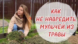 МУЛЬЧИРОВАНИЕ СКОШЕННОЙ ТРАВОЙ: не всё так просто. Как использовать правильно