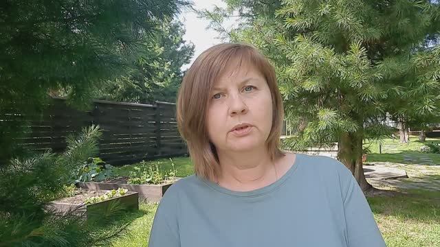 Размер теплиц. Обзор теплицы с огурцами и сладким перцем