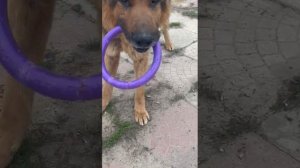Старк. Наши будни.