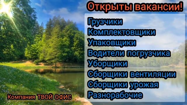 Работа. Вахта. Москва и МО