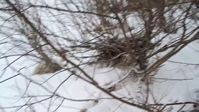 Где стоит наша баня? Погода штормит. Поход за речку. От?