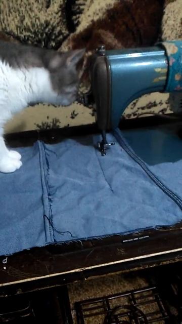 Кошка шьет смотреть онлайн