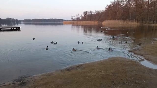 Пришла весна, тёплая погода в Польше, выходной день, гу смотреть онлайн