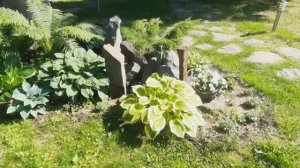 Камни среди цветов. Переделываю клумбы