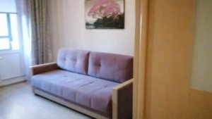 Однокомнатная квартира на Парнасе