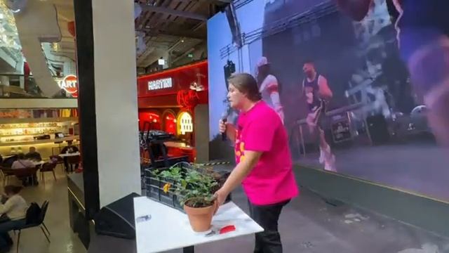 Константин Сапожников | Роза в комнатном цветоводстве