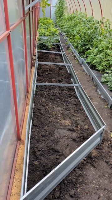 Формируем теплицу #жизньвдоме #дача #garden #рассада #огор