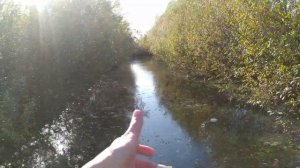 Будни очень крутого аквариумиста