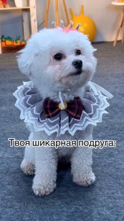 Типичные истории из жизни